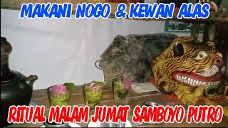 MAKANI NOGO !!! RITUAL MALAM JUMAT SAMBOYO PUTRO