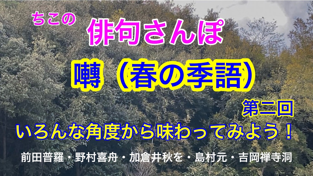 【俳句さんぽ・第234回】囀（春の季語）第二回　囀りを詠んだ俳句を五句、ご紹介します！