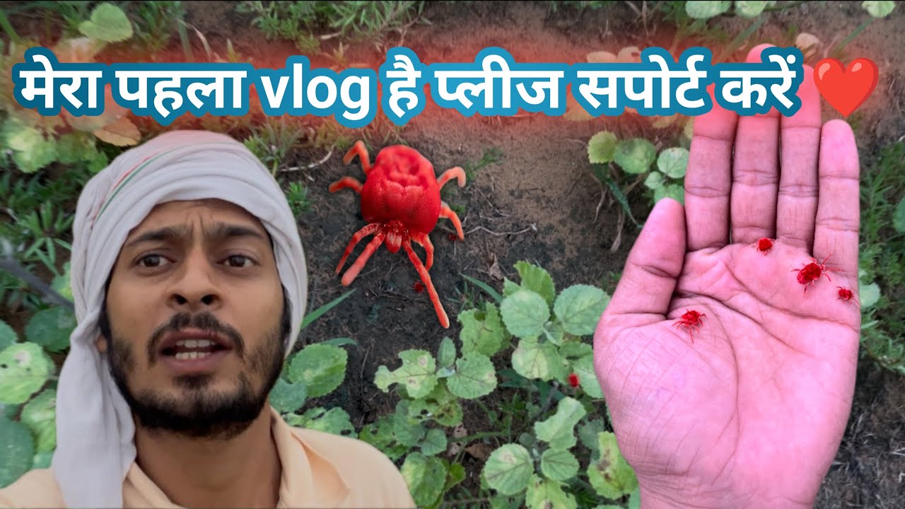 My First Vlog 2025 ❤️ #rusticdesi  #देहातीदेसी