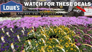 Shopping at Lowes for Lawnmowers, Groundcovers and Shrubs