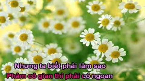 01 bao cong xu an quach que