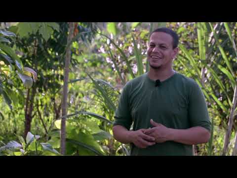 ESCOLA ITINERANTE DE AGROECOLOGIA  - COMPLETO