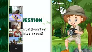LE210 Action verbs and plants