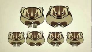 ▶ GED Science Unit 4.8 Evolution