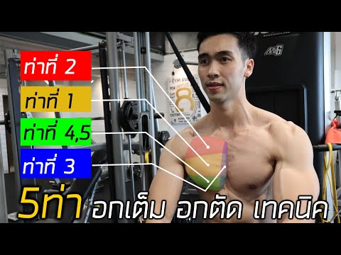 5 ท่าสร้างกล้ามอกให้เต็ม ตัด ชัด (มีเทคนิคเคล็ดไม่ลับ)