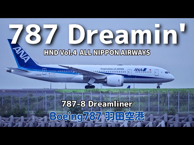 787 Dreamin' HND Vol.4 ALL NIPPON AIRWAYS Boeing787-8 Dreamliner