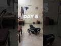 11+ Hours Study + Push Day Workout | Building Discipline