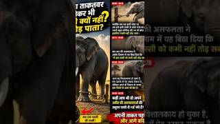 The Elephant Rope Story Will Change Your Mindset! 🤯