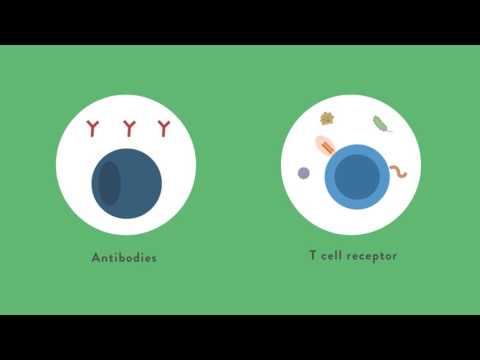 Immunology Lecture 1