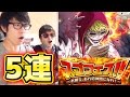 トレクル！スゴフェス！コラソン追加！コラさん狙いで5連！K編 ONE PIECE