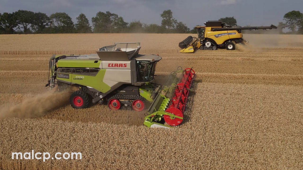 Harvest 2022: Claas Lexion 7700TT and NH CR9.90 cutting wheat in Chediston