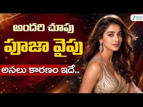 Pooja Hegde Career Updates | Tollywood News | Success Story | Zee Telugu Film News - ZEE24TELUGUNEWS