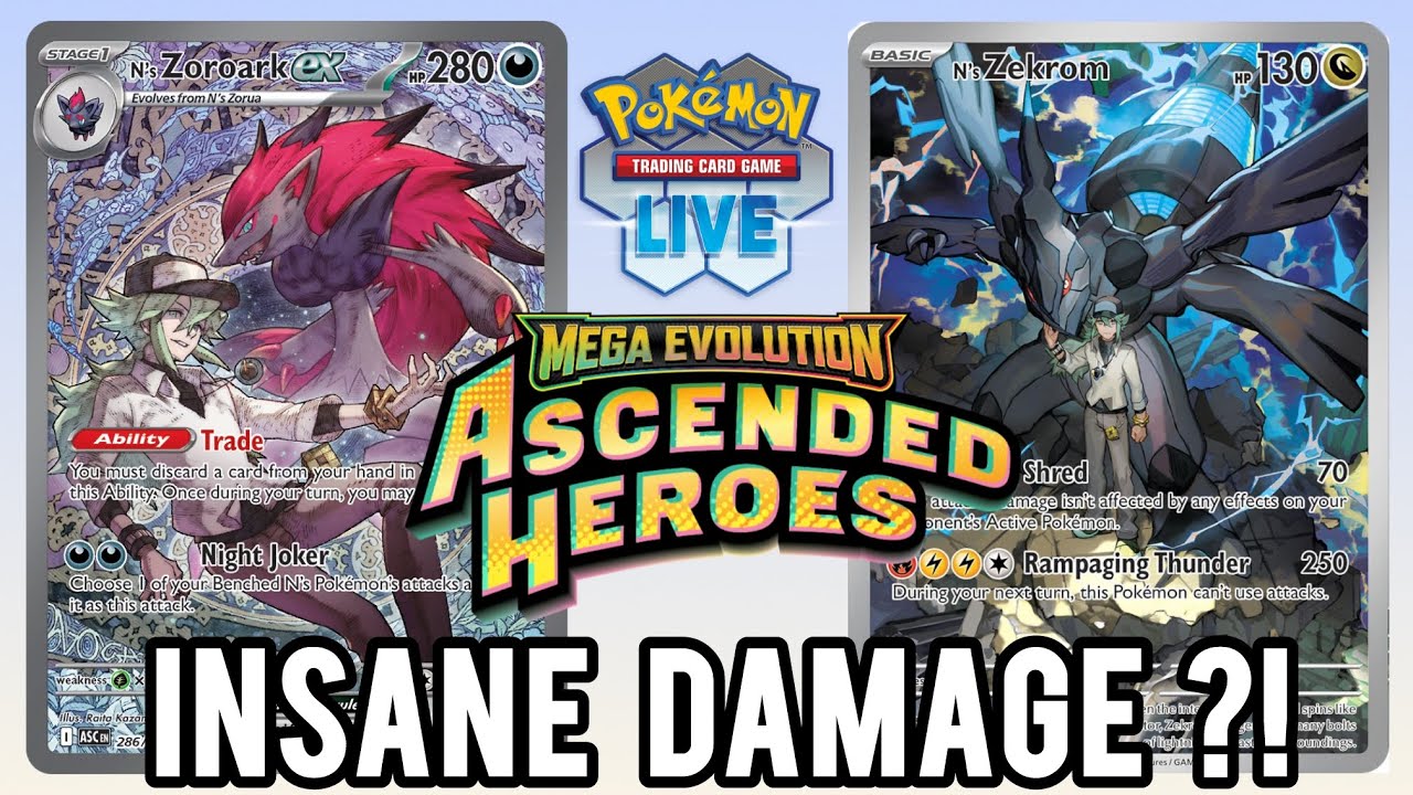N's Zoroark Can Hit For MASSIVE DAMAGE?!