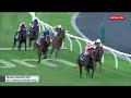 Black Caviar’s perfect 25 | EVERY win by the undefeated Queen of Racing