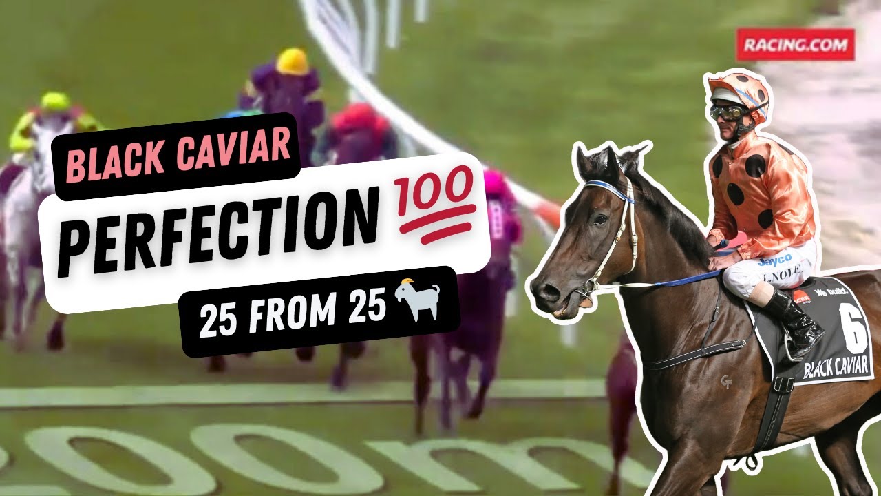 Black Caviar’s perfect 25 | EVERY win by the undefeated Queen of Racing