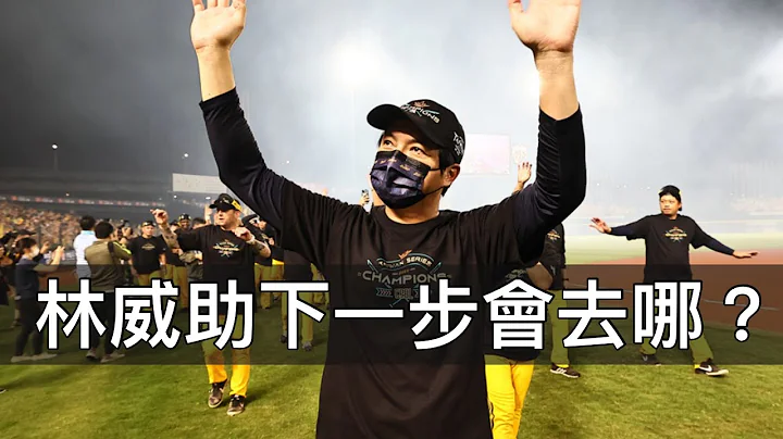 兄弟「海外顧問」林威助下一步去哪？評估中職各隊延攬「助總」的可能性 - 天天要聞