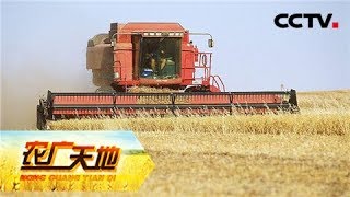 《农广天地》 20180126 小麦秸秆综合利用技术 | CCTV农业