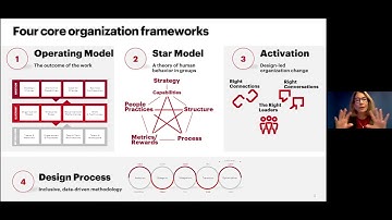 Kates Kessler: Organizational Design: A View from the Consultants Chair