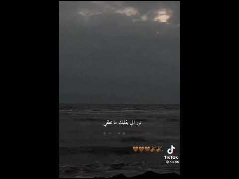 بشار الجواد تى رارا تى رارا