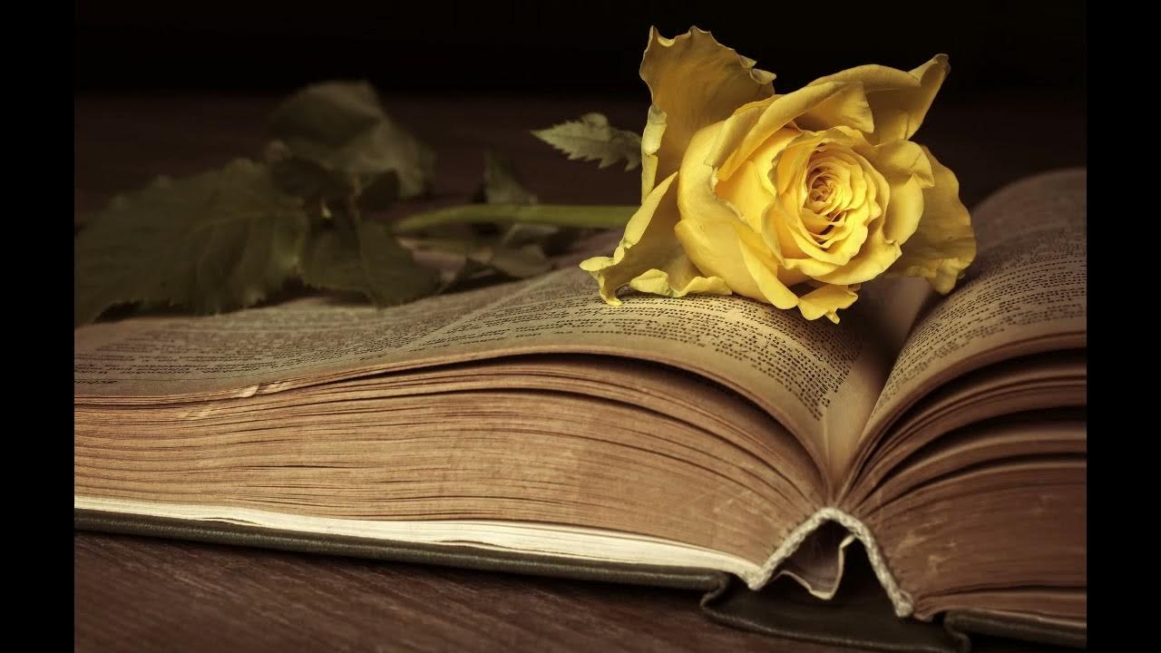 El libro de los amores ridículos Audiolibro (3/3) Milan Kundera YouTube