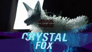 Star Wars: The Last Jedi - Evolution of the Crystal Fox