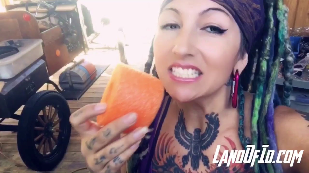 ADVENTURES - Preparation for fossil adventure