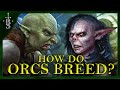 How Do ORCS Breed? | Lord of the Rings Lore