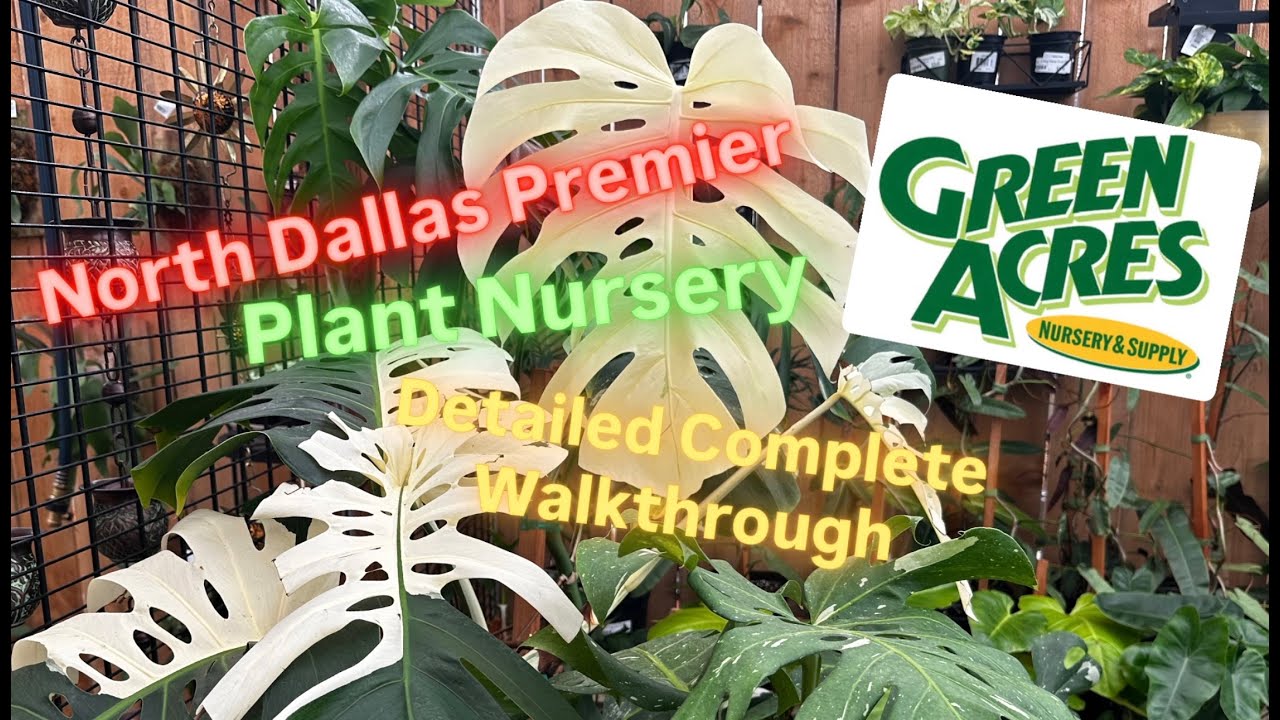 Green Acres Nursery and Supply Detailed Plant Nursery Walk Through Tour Huge Plant Shopping Savings