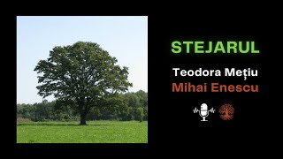 Stejarul Pedunculat Quercus Robur - Mihai Enescu Teodora Mețiu