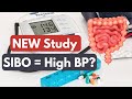 How Gut Health Affects Blood Pressure: The Hidden Link Between SIBO and Hypertension