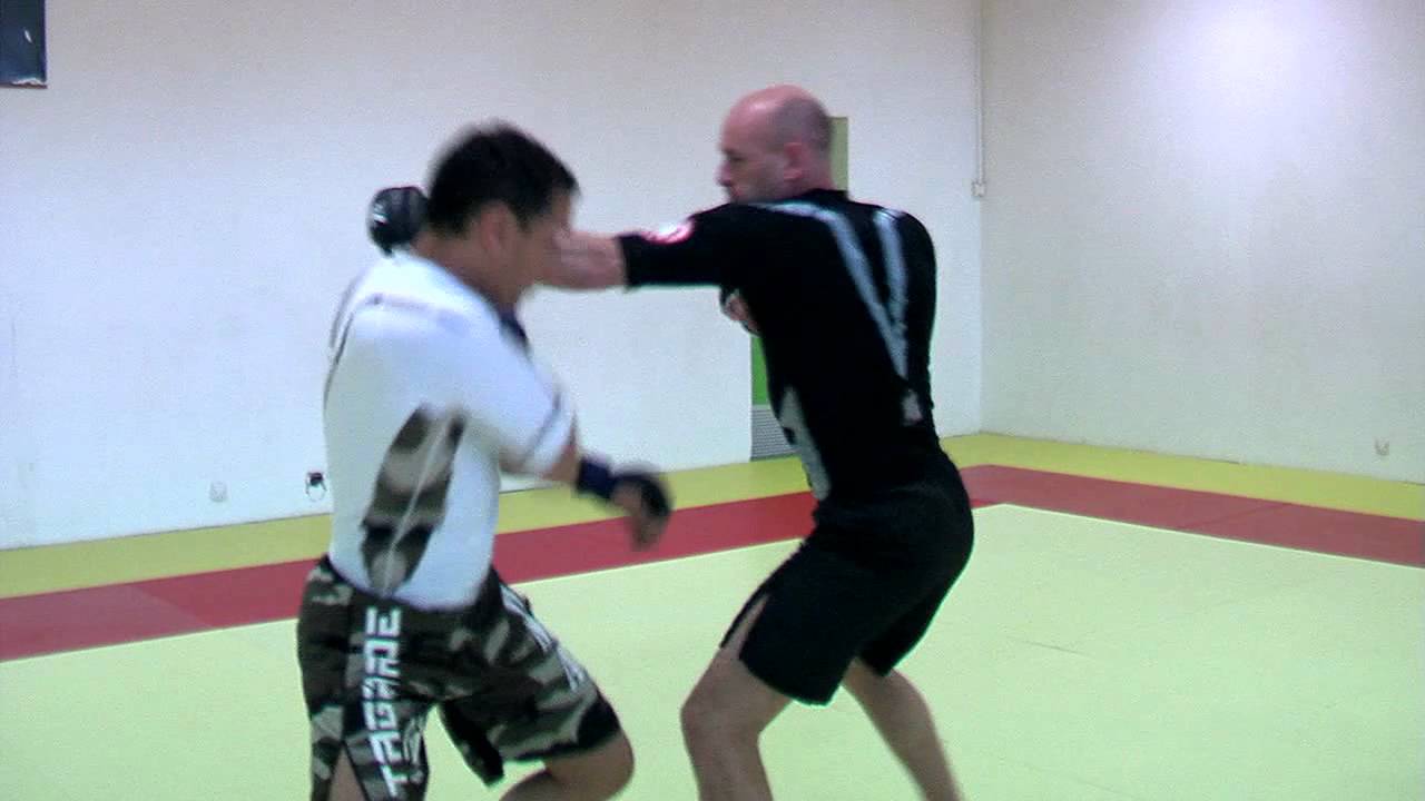 DVD Arts Martiaux Traditionnels Vers MMA - Techniques Combat Distance Et Corps à Corps Par Experts