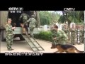 20140309 中国武警 探访警犬基地