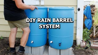 Build Your Own Rain Barrel System: The Ultimate WaterSaving Hack