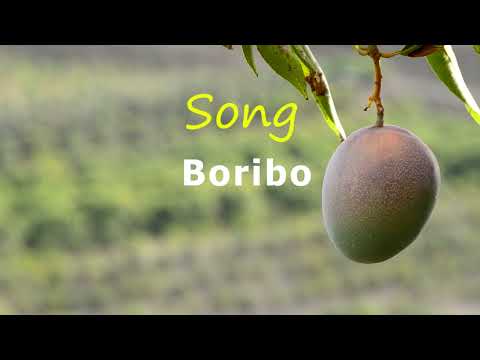 Jahpizzo Boribo Video Music Lylics