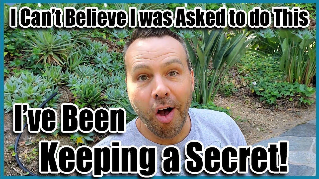 I Ve Been Keeping A Secret Can T Believe I Was Asked To Do This Youtube