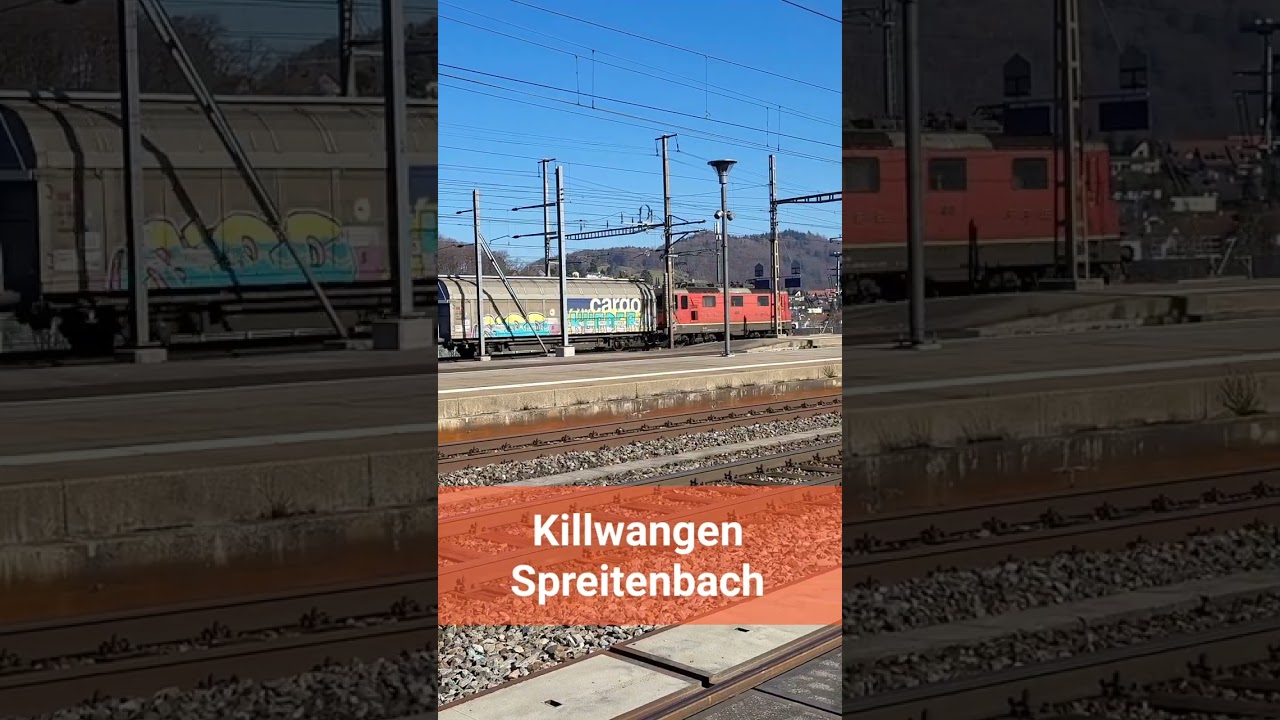 SBB Güterzug beim Bahnhof Killwangen-Spreitenbach, Kanton Aargau, Schweiz 2023 / #shorts