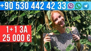 Недвижимость в Турции недорого: Срочная Продажа - Недорогая Квартира в Алании с мебелью Недвижимость в Турции недорого: Срочная Продажа - Недорогая Квартира в Алании с мебелью