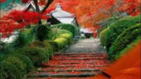 الشيخ منير الأيات 113 إلي 129 من سورة التوبة