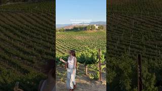 the hotel IS the vacation #winetasting #winecountry #california
