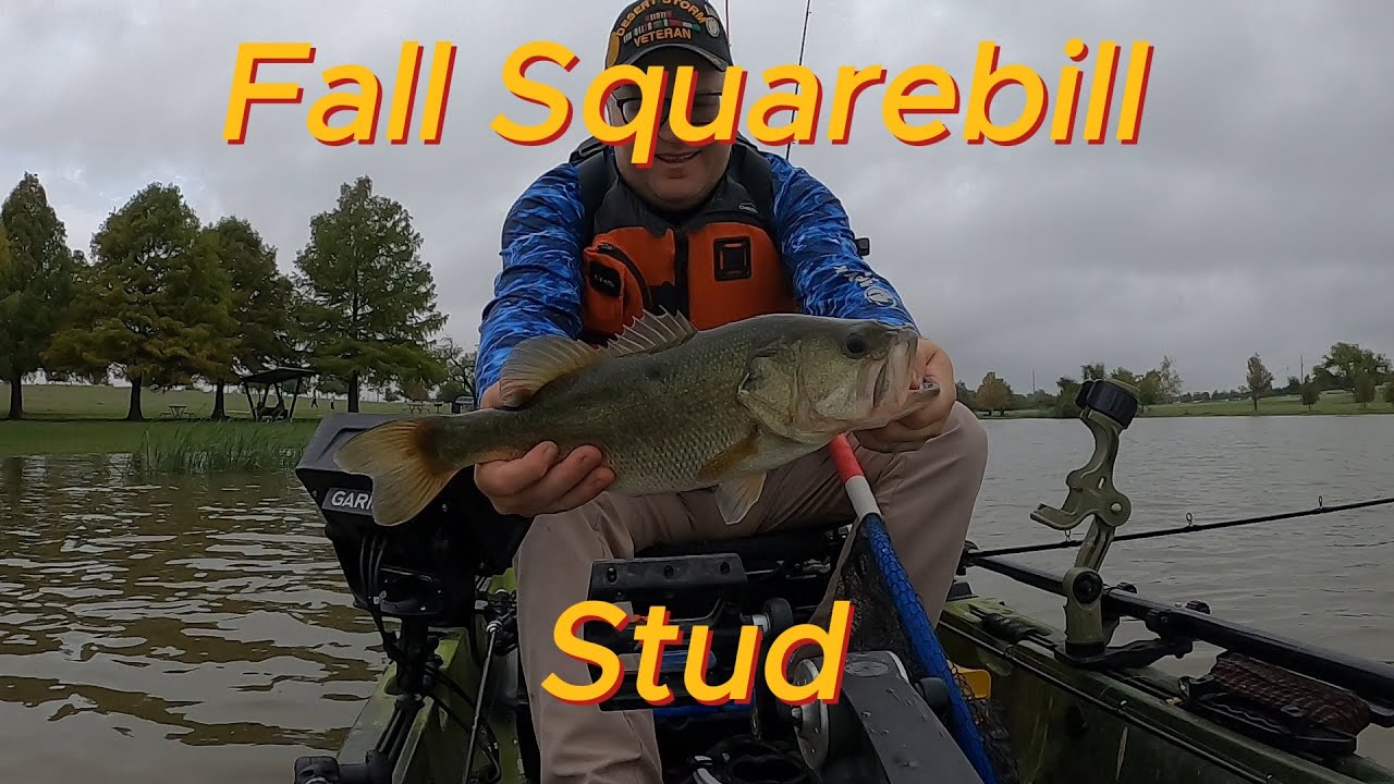 Fall Squarebill CrankingTexas Kayak Bass Fishing Bass Manager The