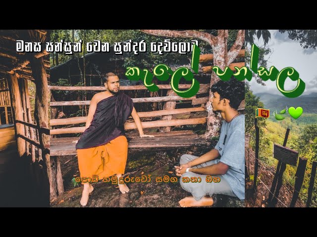 කැලේ පන්සල/kale pansala srilanka 💚🌸#clicknaween