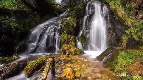 ٤١- سورة فصلت - بصوت القارئ عبدالله الخلف 1437