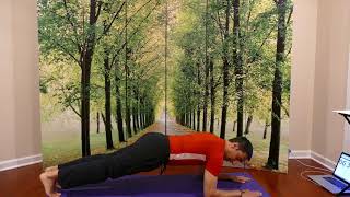 Yoga Plank Pose Challenge For Ab And Core Power