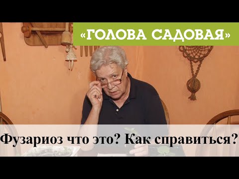 Голова садовая - Фузариоз что это? Как справиться?