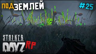 :   . DAYZ STALKER RP 25 