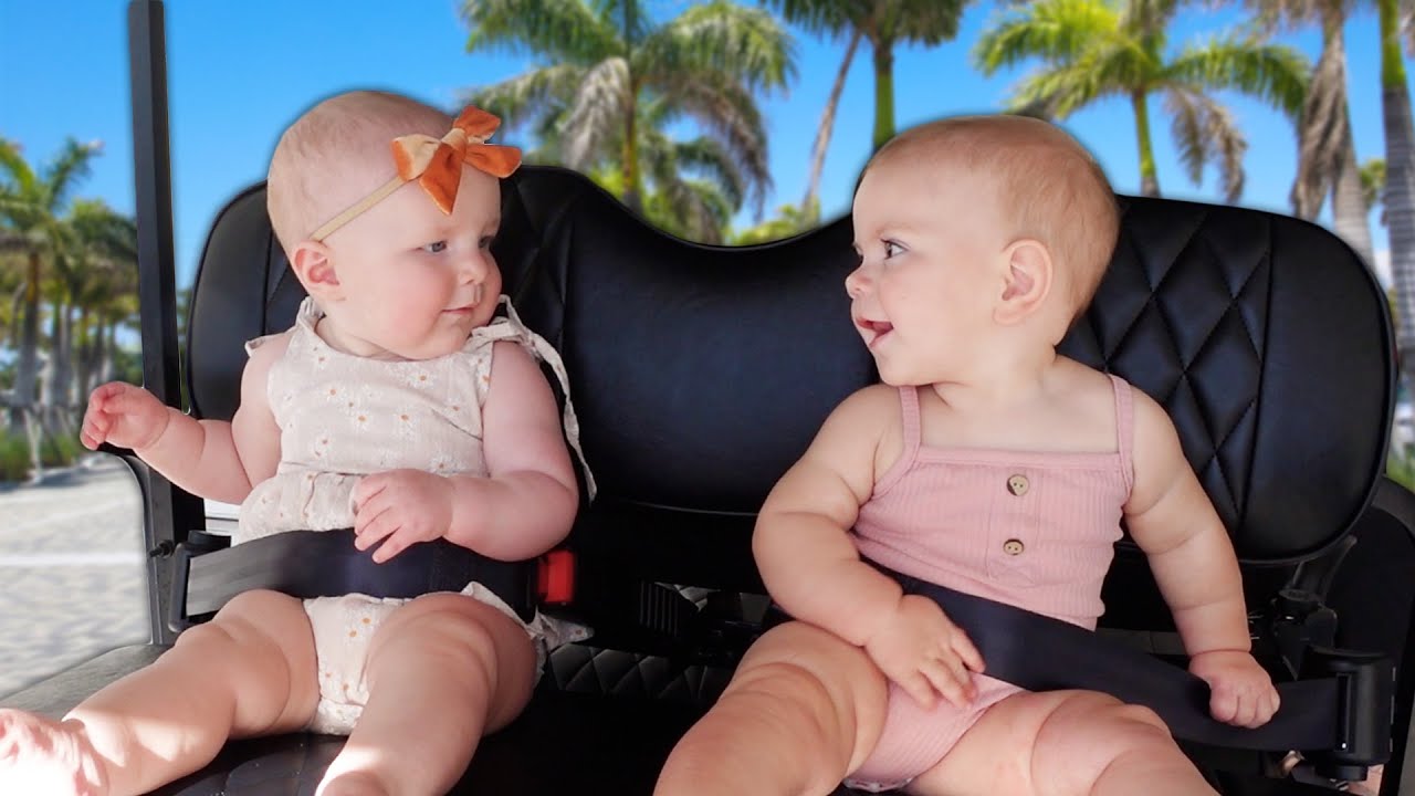 Boss Babies Re-Unite!