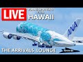 Live a380s arrive during livestream plane spotting in hawaii the arrivals lounge phnlhnl