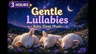 3 Hour Baby Lullabies for Sleep 🐑 | Gentle Bedtime Music with Sleeping Lambs
