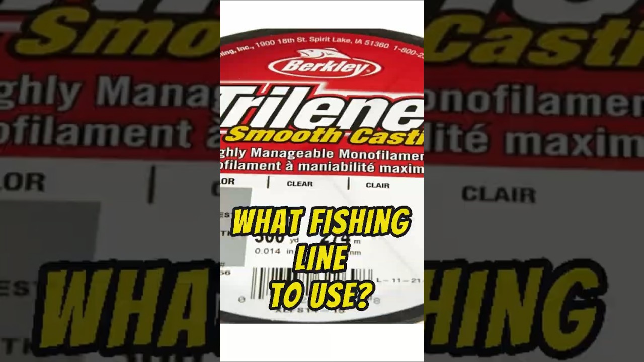 Какую леску использовать начинающим рыболовам, ловящим окуня? Совет недели (3-я неделя) 