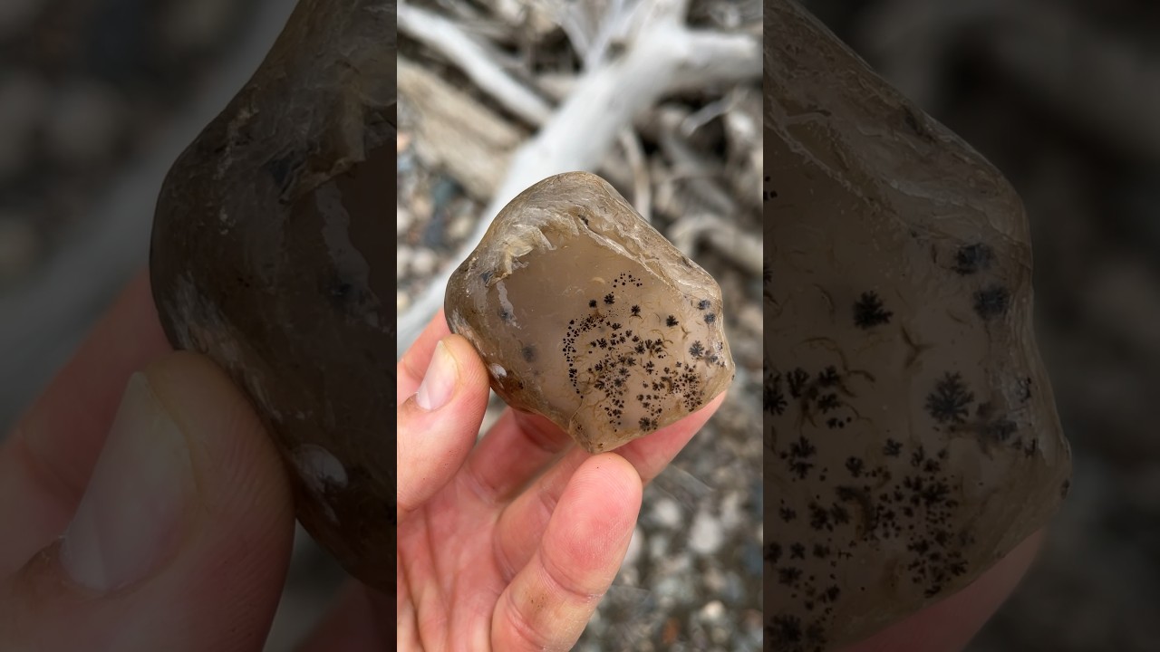 FANTASTIC MOSS AGATE FIND!!! 